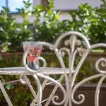 Cute Sunny Apartment Kod1